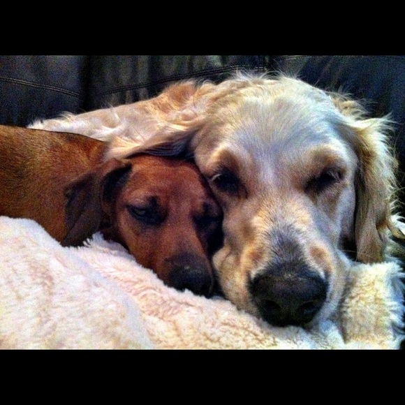 Meet Your Posher! - Picture 4 of 6